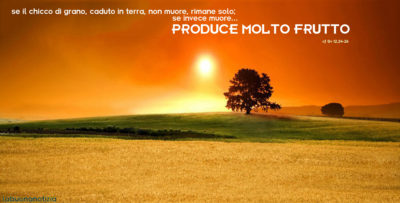 Se il chicco di grano caduto in terra muore, produce molto frutto.