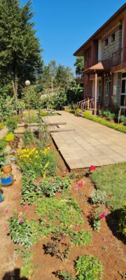 Etiopia: ingresso arcivescovado